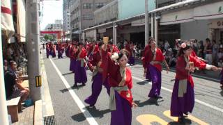 陽　～2011高知よさこい祭り・本祭１日目(菜園場競演場)