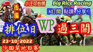 香港賽馬〖排位日WP過三關〗23-10-2022 沙田草地日賽 (推介第4、6及8場) {強國仁、胆哥、大米 聯合提供}