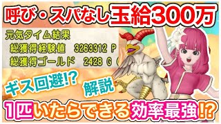 【ドラクエ10】最新レベル上げ効率最強！？サポでエンペラーレグホン狩り玉給300万を解説！【ver6.5】