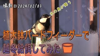 植木鉢バードフィーダーで越冬給餌をしてみた。　シジュウカラ・ゴジュウカラ・スズメ・ハシブトガラ・ヒヨドリ【シニアのお庭野鳥観察】