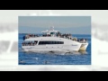 Harbor Breeze Cruises and Whale Watching