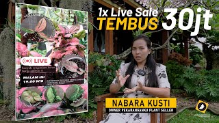 SUKSES JUALAN TANAMAN LEWAT DIGITAL MARKETTING DENGAN CARA LIVE SALE INSTAGRAM