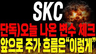 [SKC 주가전망] 💥단독💥오늘 나온 변수 확인!! 앞으로 주가 방향성 \