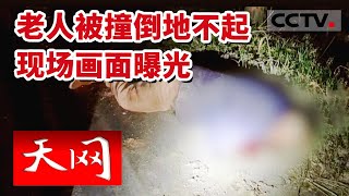 《天网》暮色街头 七旬老人被撞 无良司机交通逃逸 中国警察凭借现场痕迹 快速成功缉捕逃逸司机 20230302 | CCTV社会与法