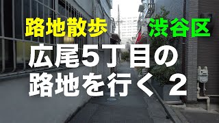 路地散歩「広尾5丁目の路地」を行くその2  渋谷区広尾5丁目