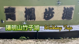 青楓步道--短而美，可輕鬆走完的涼爽步道