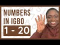 How to Count in Igbo | 1-20 | Numbers in Igbo Language