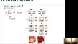 Chapter4-4-Complementation