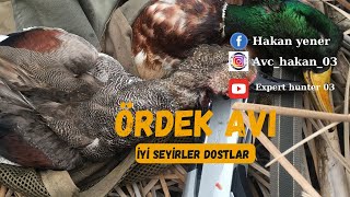 ÖRDEK AVI (Güzel görüntüler) DUCK HUNT УТИНАЯ ОХОТА صيد البط CACCIA ALL'ANATRA TÜFEK:ARMSAN a612