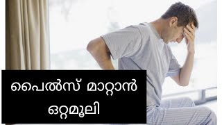 പൈൽസ് മാറാൻ ഒറ്റമൂലി |home remedy for piles#shorts#home renedies