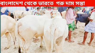 আজ ৩ সেপ্টেম্বর।  বাংলাদেশের থেকে ভারতের তিনগুণ দাম বড় বড় বলদ গরুর কম আছে।