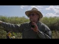 burmese python hunting the florida everglades with legend tom rahill of swamp apes green way clips