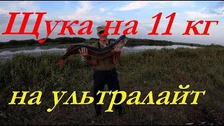 Трофейная щука  / 11 кг / на ультралайт KOSADAKA  ROVER