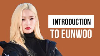 SHORT GUIDE TO EUNWOO 은우 (HINAPIA)