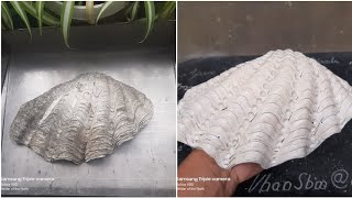 Sea Shell Carving