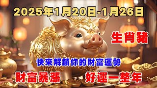 2025年1月20日-26日  屬豬人 周運勢 快來解鎖你的財富密碼吧！！！#五行八字 #星座 #2025年の運勢 #感情 #十二生肖 #十二生肖 #熱門 #生肖運勢 #正能量 #流量 #财運