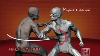 Half Python