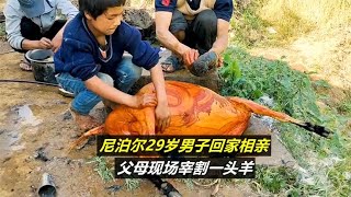 尼泊尔29岁男子回家相亲，父母现场宰割一头羊，全村吃的满嘴流油