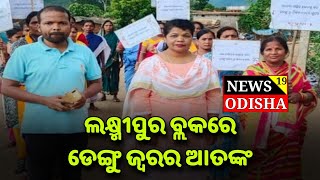 ଲଷ୍ମୀପୂର ବ୍ଲକ ରେ ଡେଙ୍ଗୁ ଜ୍ୱର ର ଆତଙ୍କ // News19 Odisha