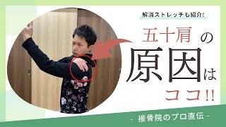 【五十肩の治し方】肩が痛い、上がらない方へのストレッチ！｜接骨院のプロが教えるお家セルフケア｜テラピスト接骨院