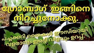 How to fill growbag|How to make growbag at home|ഗ്രോബാഗ് നിറക്കുബോൾ ശ്രദ്ധിക്കേണ്ട പ്രധാനകാര്യങ്ങൾ!