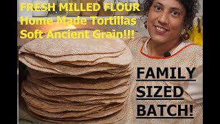 Homemade Flour Tortillas! Fresh Milled Ancient Grain! Family Sized Recipe!