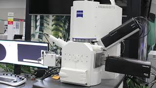 EDAX Instant Insight Velocity EBSD Camera Series