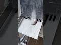 amazing fish slicer machine short fish cuttingskills