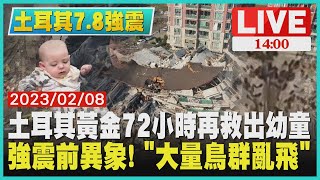 【土耳其7.8強震】土耳其黃金72小時再救出幼童 強震前異象! 「大量鳥群亂飛」LIVE