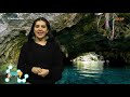 ¿qué son los cenotes es bueno saberlo