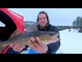 nice catch ice fishing near algonquin park on beautiful lake catching multiple fish species