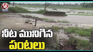 Farmers Facing Problems Over Crops Destroy With Heavy Rains | Kamareddy |  V6 News