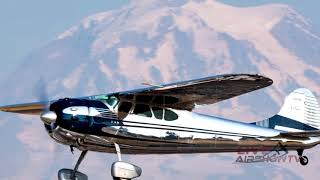 8 - 1952 Cessna 195 Businessliner