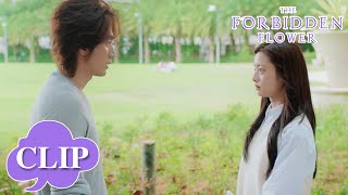 He confessed again and repaired their relationship | The Forbidden Flower | EP23 Clip