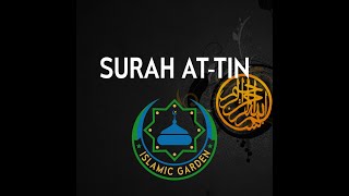 Surah At-Tin | Beautiful Calming Recitation of Surah At-Tin (Quran Surah At-Tin)