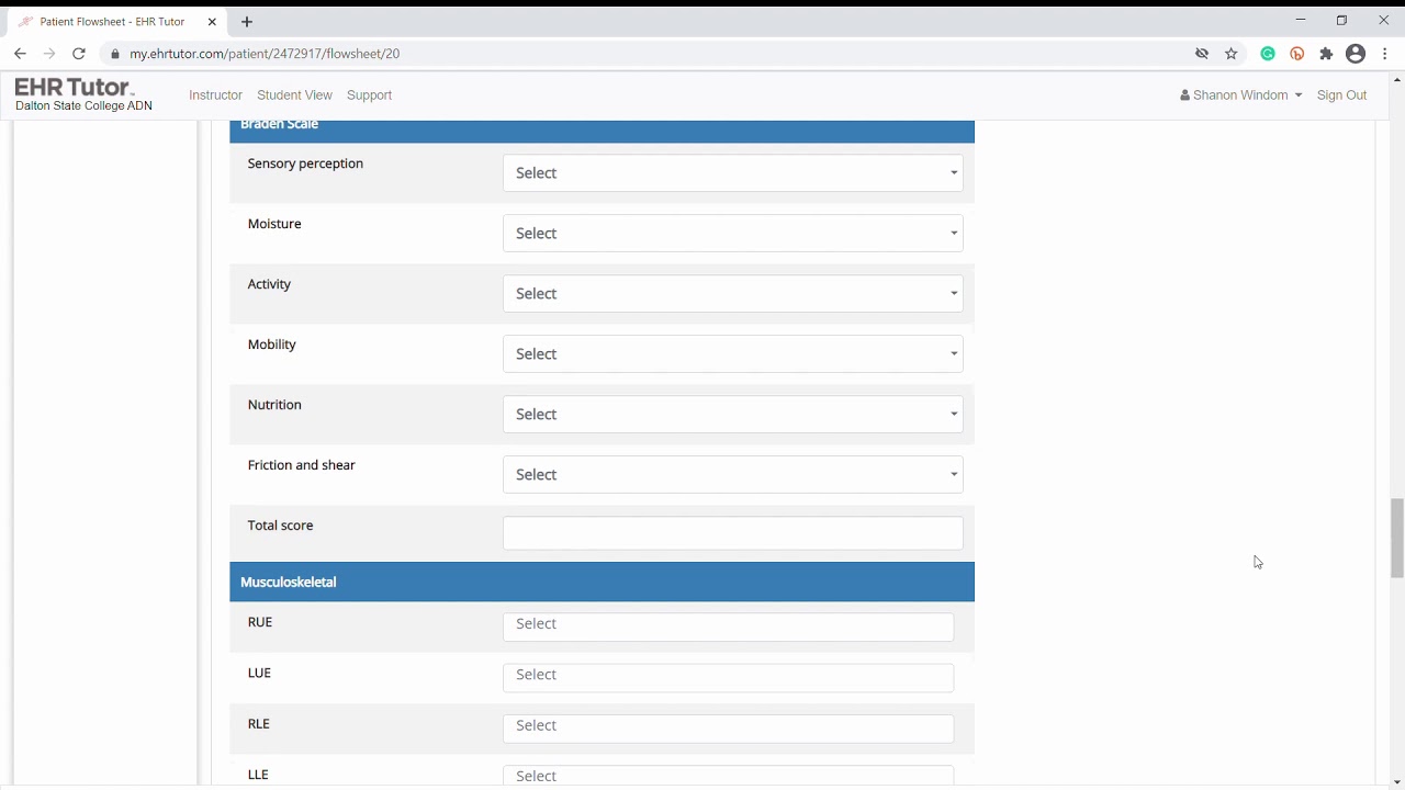 Ehr Tutor Patient Chart Youtube
