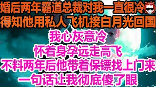 嫁给霸道总裁两年 他一直对我很冷淡，后来他用私人飞机接白月光回国的消息霸占热搜后，我心灰意冷 怀着身孕远走高飞，不料两年后他带着保镖找上门来，一句话让我彻底傻了眼！