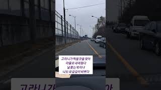 고라니 출몰