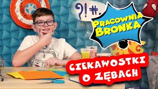 Dlaczego nasi przodkowie mieli więcej zębów i najdroższy ząb na świecie!