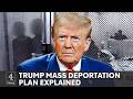 Trump’s mass deportation plans: what can we expect to see?