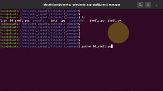 auto exploit ][ bf_shell v1.0