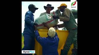 KynoPlus enhanced nitrogen from Kynoch Fertilizer