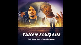 Fallen Souljahs (DOGAR Refix) | Sidhu Moose Wala | Tupac | TrikkBeatzz