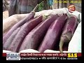 হাট বাজার hat bazar নিমসার বাজার কুমিল্লা 02 12 2017 channel 24 youtube