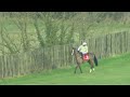 faugheen the machine smashes samcro at limerick in a novice chase grade 1