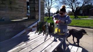 Making Champagne at Home: Getting Started