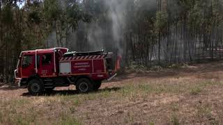 Wildfire ravages over 17,000 acres in Portugal