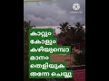 തളരാതെ മുന്നോട്ട് sad malayalam