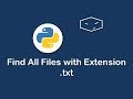 find all files with extension  txt in python 😀