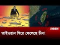 যুদ্ধের প্রস্তুতি তাইপের, নজর রাখছে যুক্তরাষ্ট্র | China | Taiwan | Taiwan Situation | Desh TV